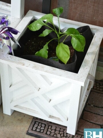 Choosing Garden Containers for your Balcony Garden