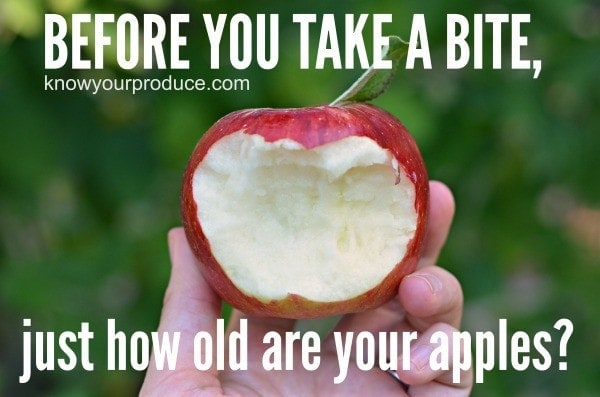 How fresh are your apples? They could be over a year old.