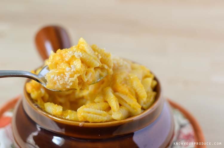 This Butternut Squash Macaroni and Cheese is loaded with sweet butternut squash, roasted onions, and just a little cheese to make it a delicious mac and cheese recipe that everyone will enjoy. Takes less than 30 minutes to make!