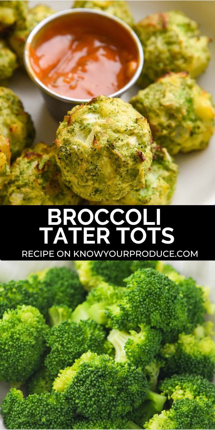 broccoli tater tots with text on image for pinterest saying broccoli tater tots knowyourproduce.com