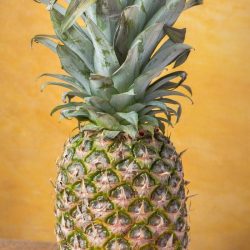 All About Pineapple