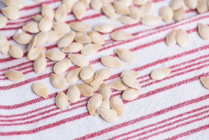 drying spaghetti squash seeds on towel