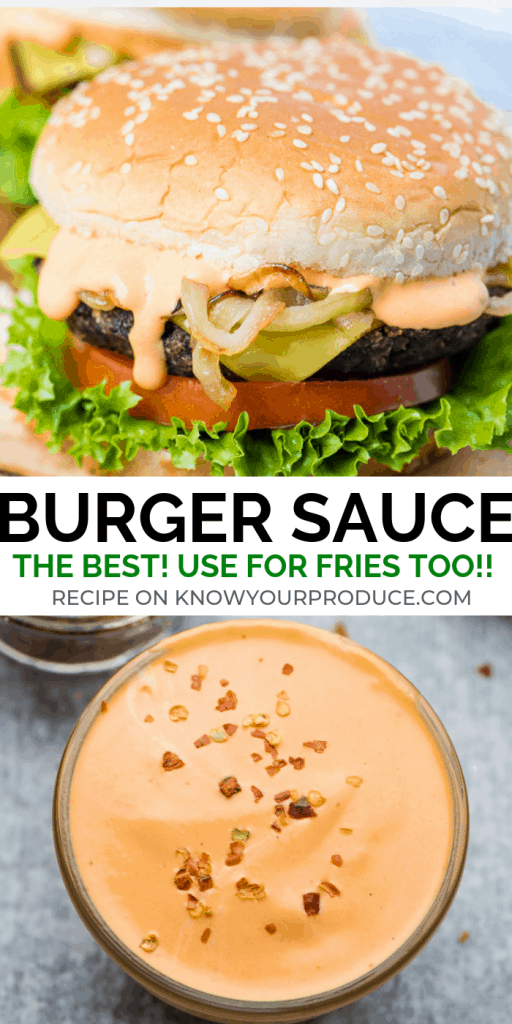 the best burger sauce use as a fry sauce, for sandwiches, tater tots, nuggets and more!