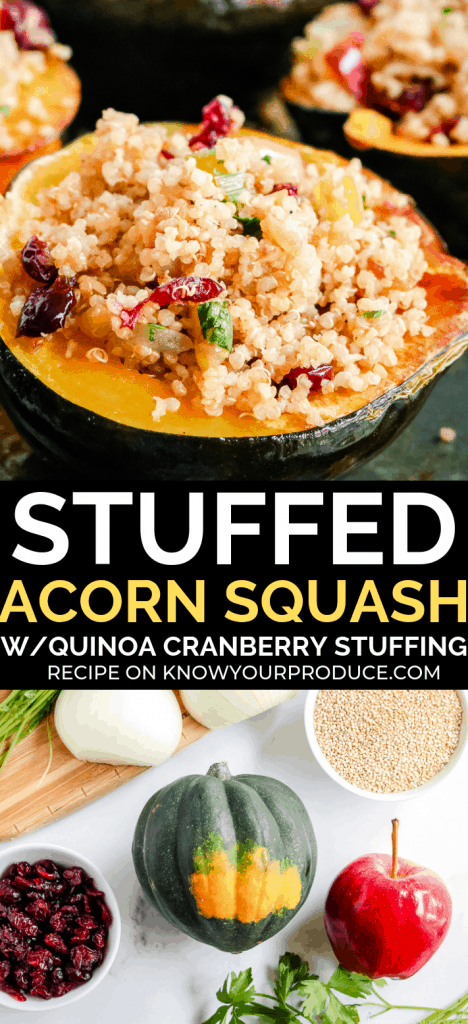 Stuffed Acorn Squash with Quinoa Cranberry Stuffing - vegan, nut free, and a gluten-free side dish or main course.