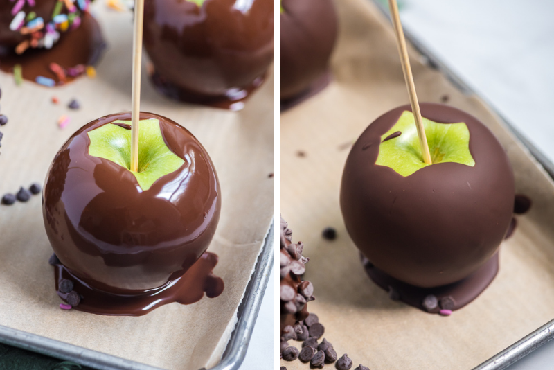fresh chocolate dipped apple on baking sheet on left side and then hardened chocolate covered apple on the right on baking sheet