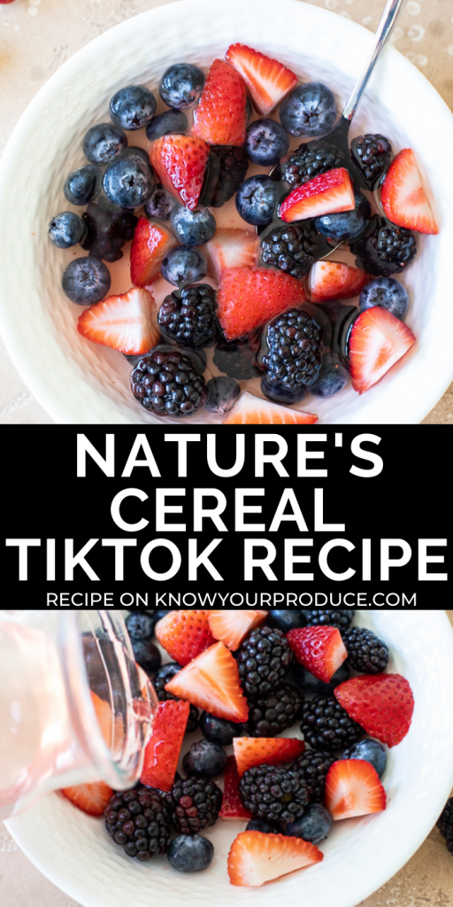 pinterest image with text for natures cereal tiktok recipe
