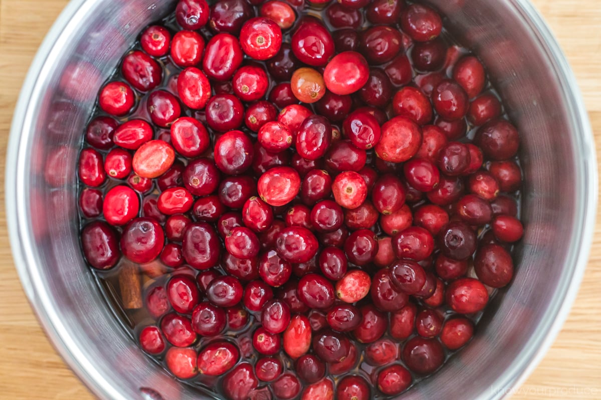 fresh cranberries in a sauce pan