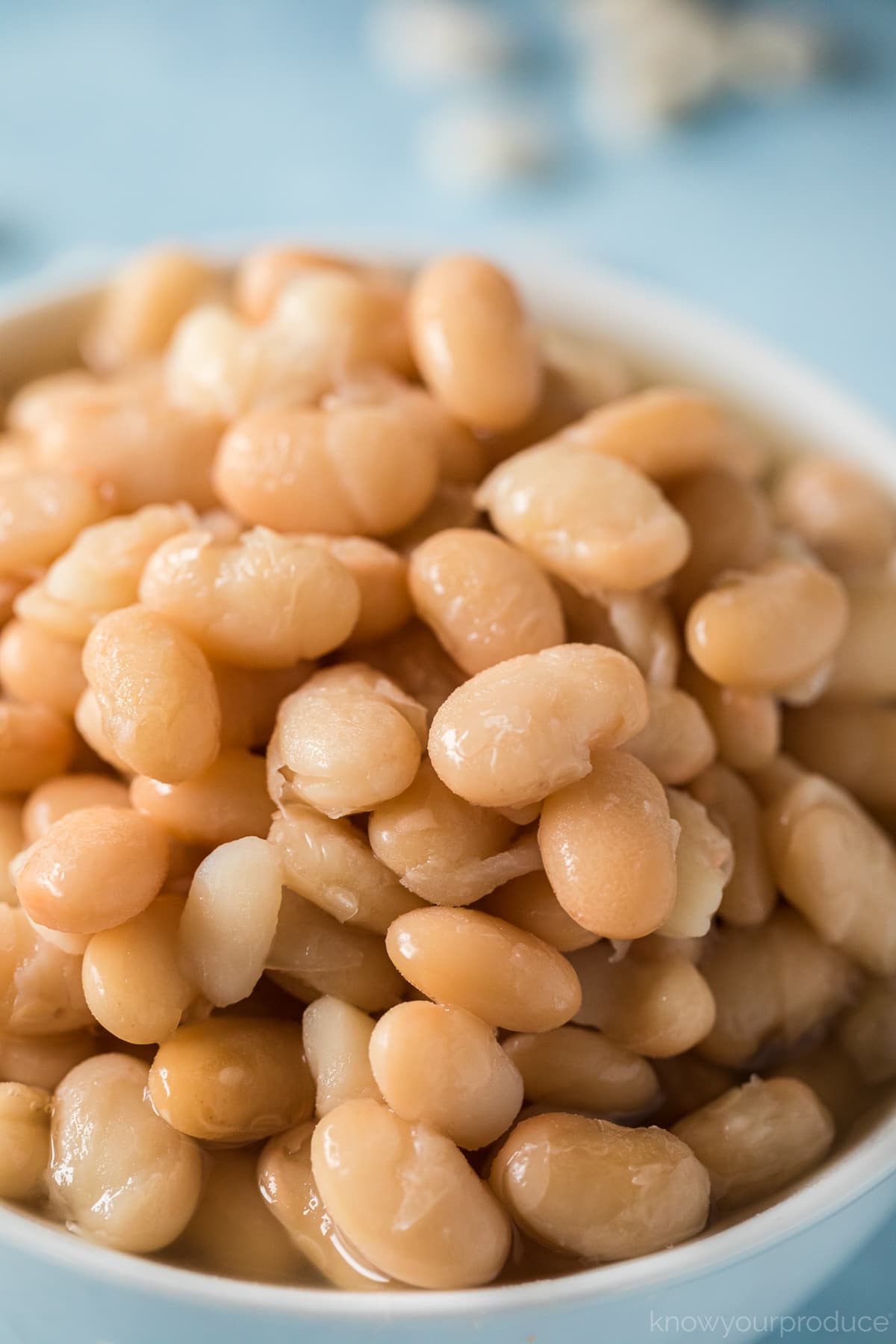 cooked white beans in a white bowl