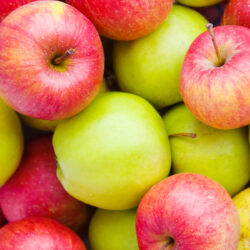 Types of Apples – Most Common Apple Varieties