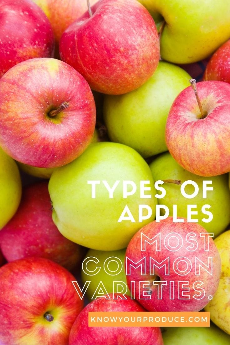 image with different types of apples and text for pinterest pin