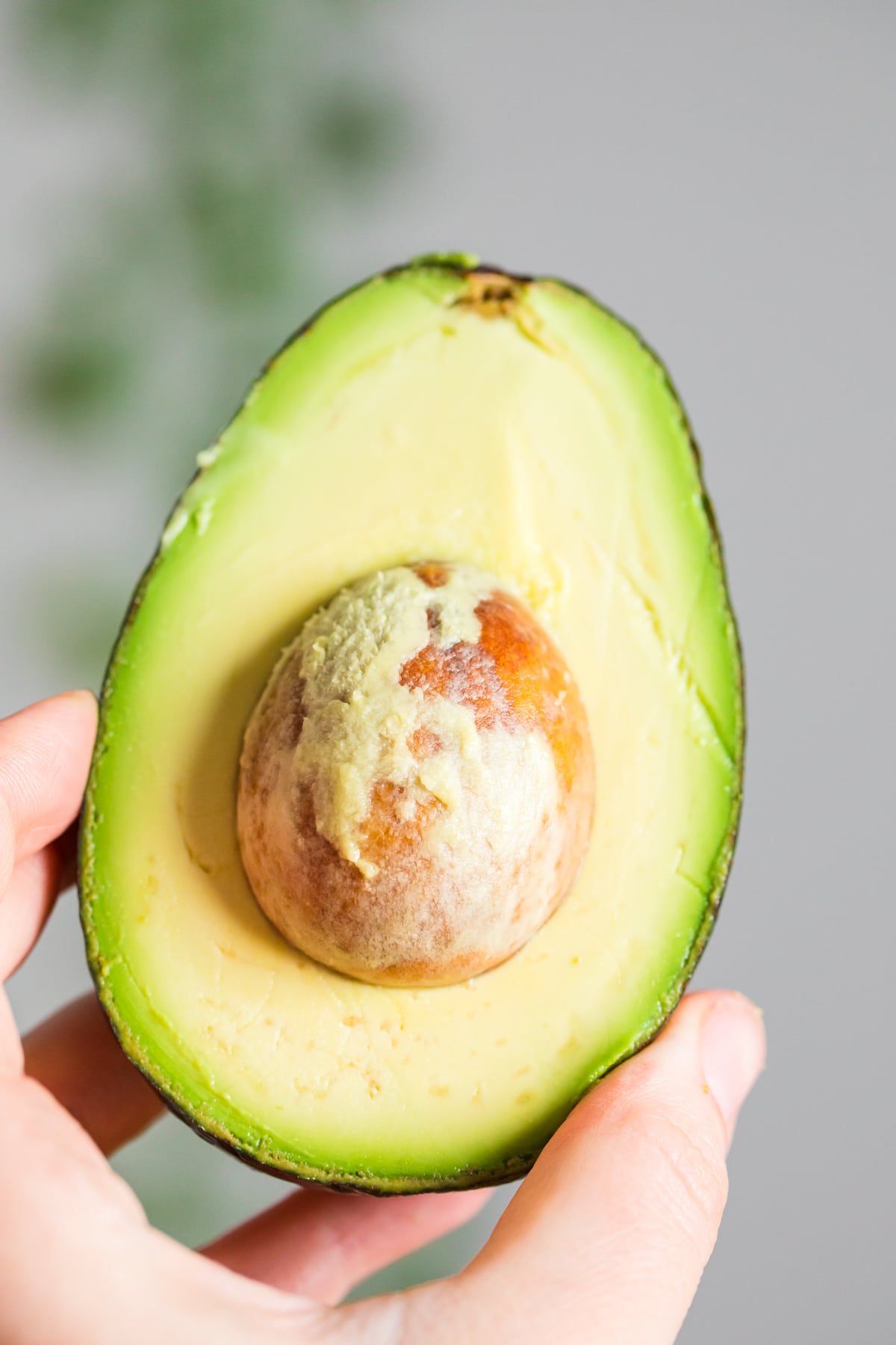 hand holding a half of an avocado with seed inside.