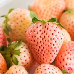 pineberries in a clamshell container opened.