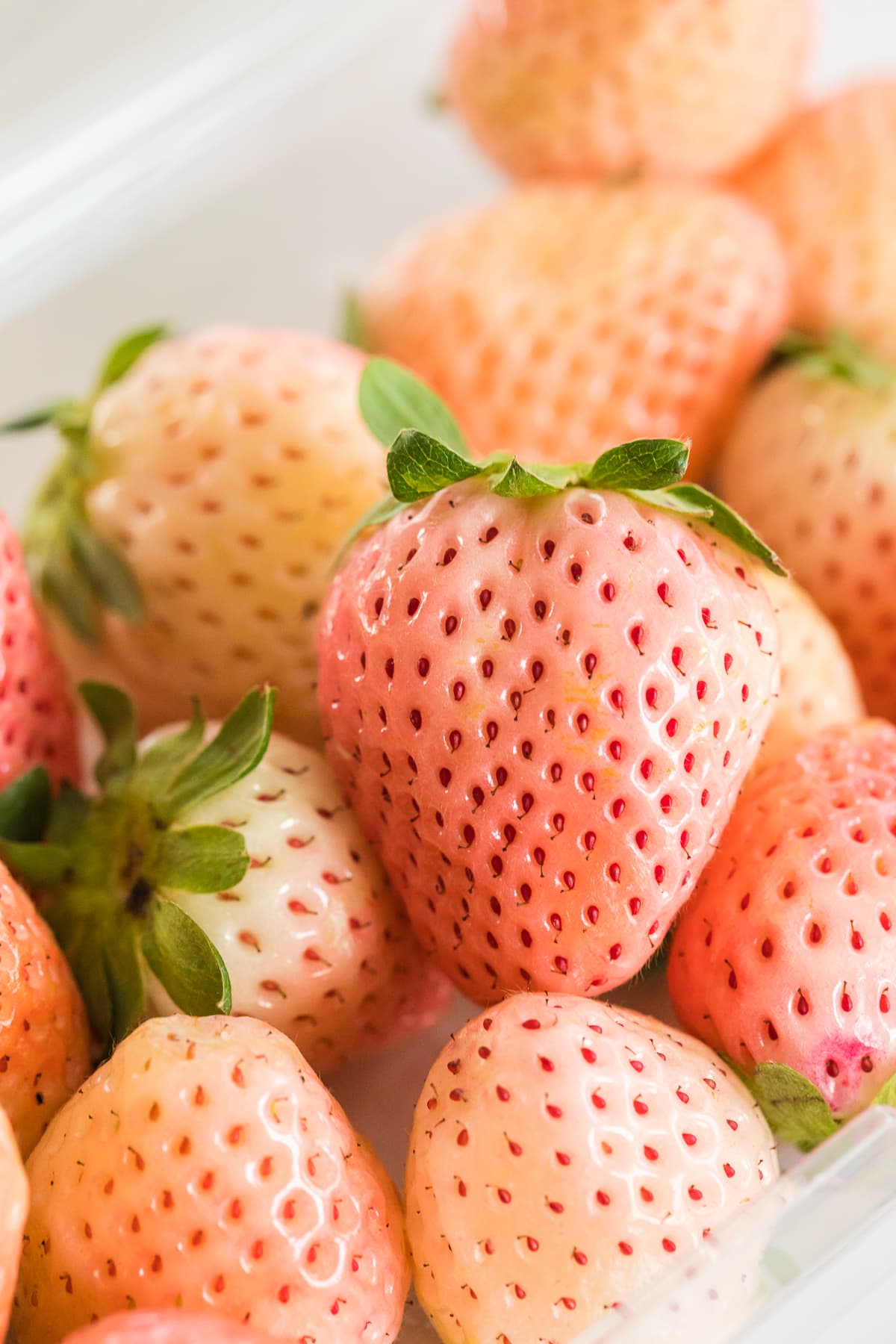 pineberries in a clamshell container opened.