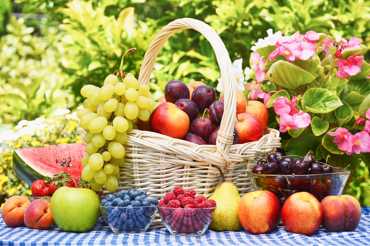 basket of fresh summer fruit and various fruit on picnic table and in bowls.