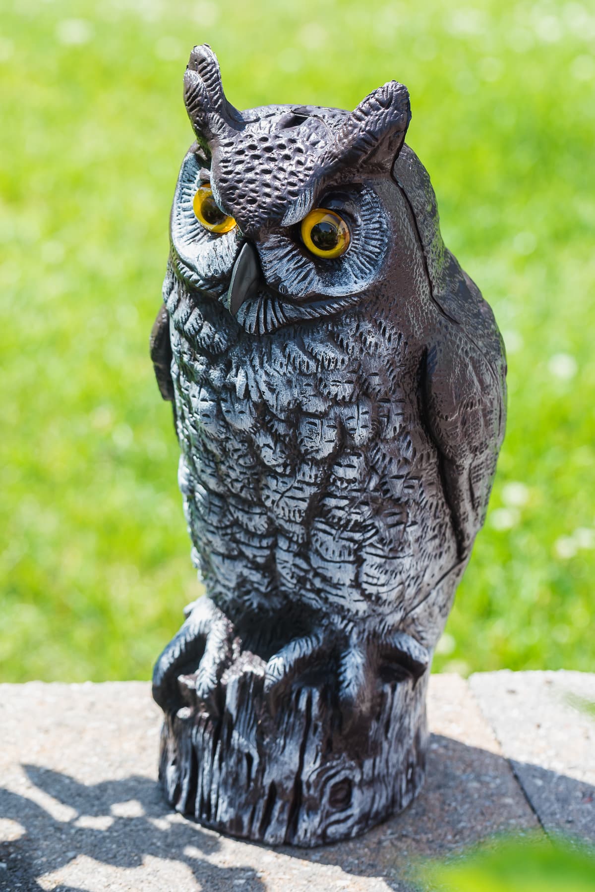 fake owl scarecrow to keep birds out of the garden and off cars.