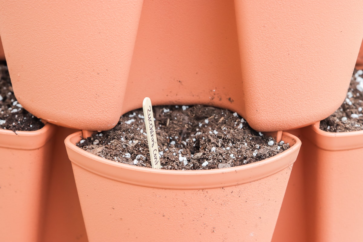 close up of a pocket on a greenstalk planter showing a dirt patch with a popsicle stick labeled for a zucchini plant.