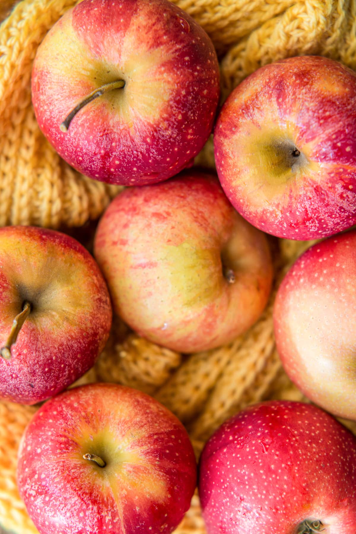 red apples on a knit yellow blanket.