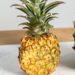 Baby Pineapple