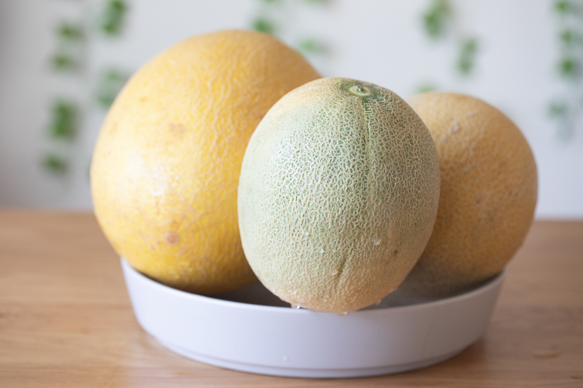 summer kiss melon in a serving bowl with a sugar kiss melon and honey kiss melon.