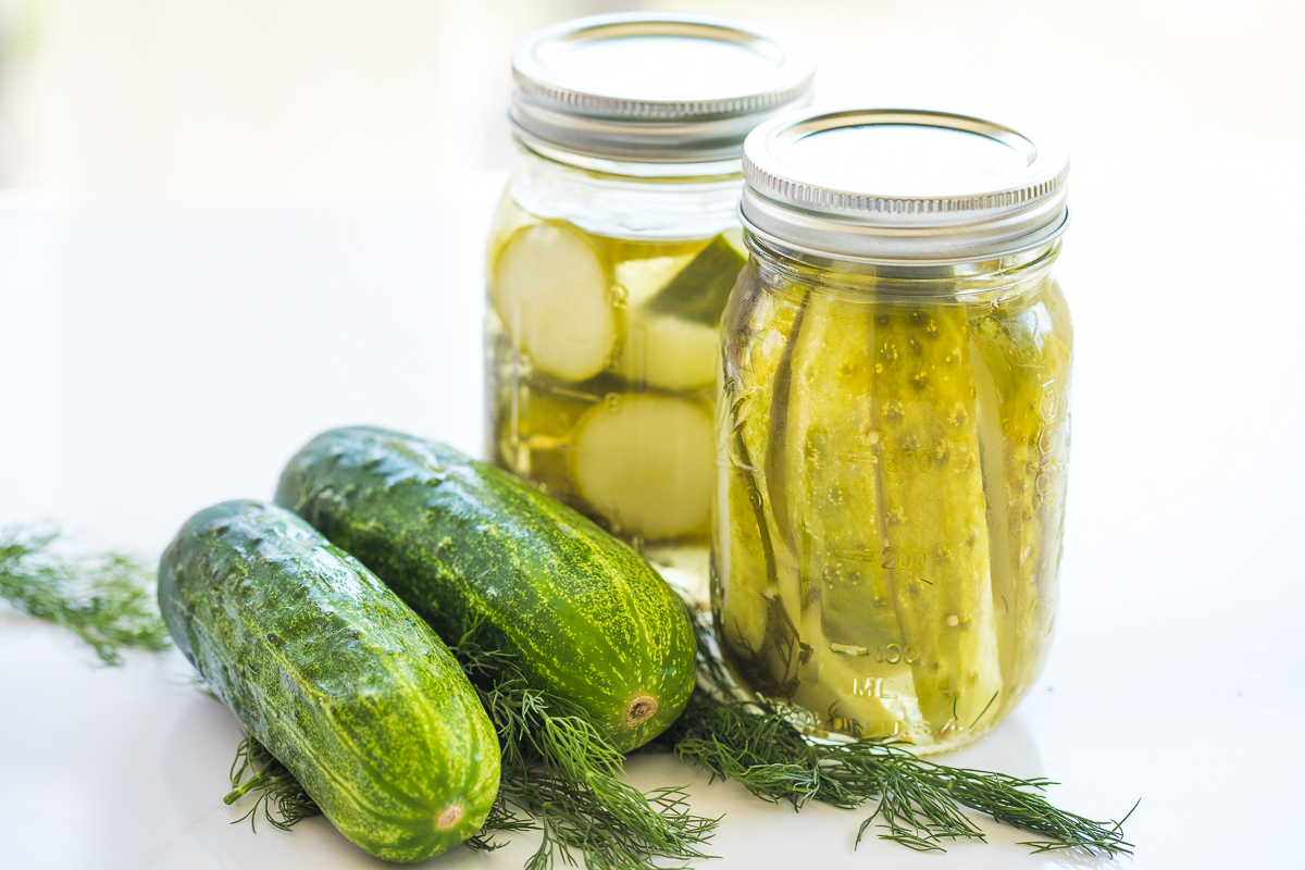 refrigerator dill pickles in jars with kirby cucumbers and fresh dill to the left.