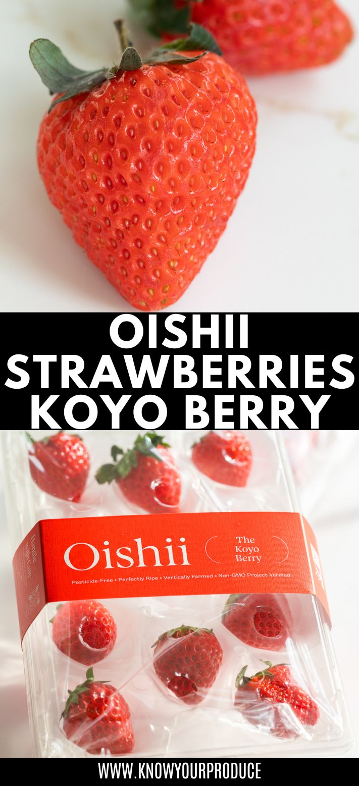 oishii strawberries koyo berry.