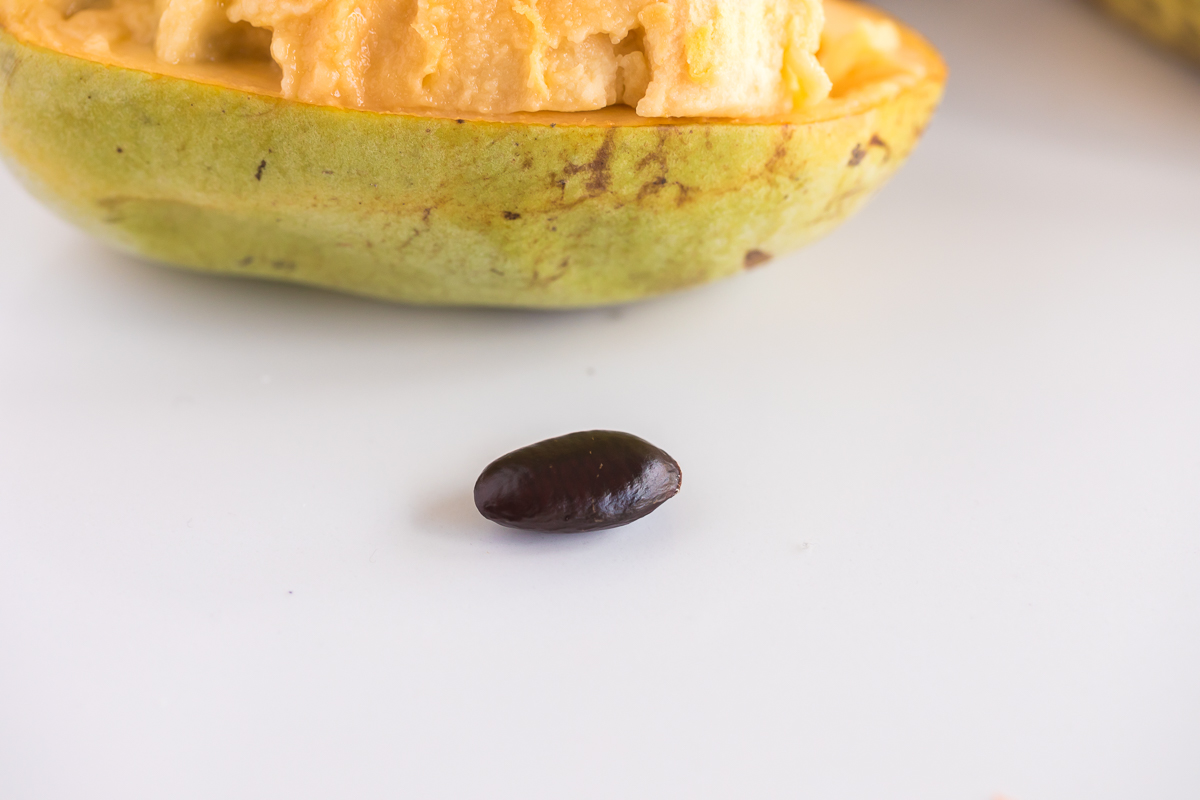 pawpaw seed and pawpaw fruit.
